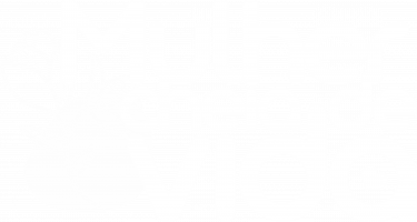 LOGO-MULHER-CHEIA-DE-VIDA-BRANCO.png